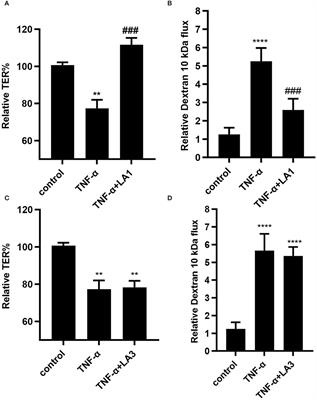 Lactobacillus acidophilus inhibits the TNF-α-induced increase in intestinal epithelial tight junction permeability via a TLR-2 and PI3K-dependent inhibition of NF-κB activation